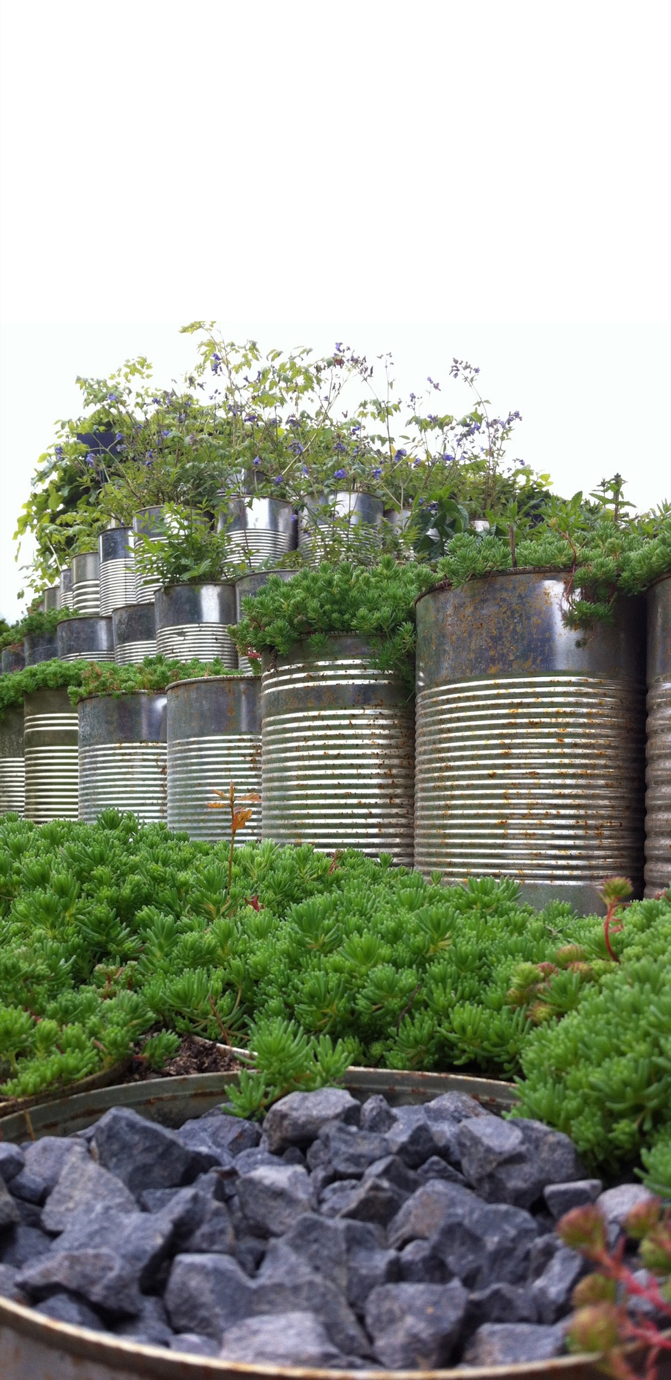 Le jardin mis en boîte — Chaumont-sur-Loire
