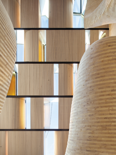 Détail d’architecture en bois et lumière naturelle