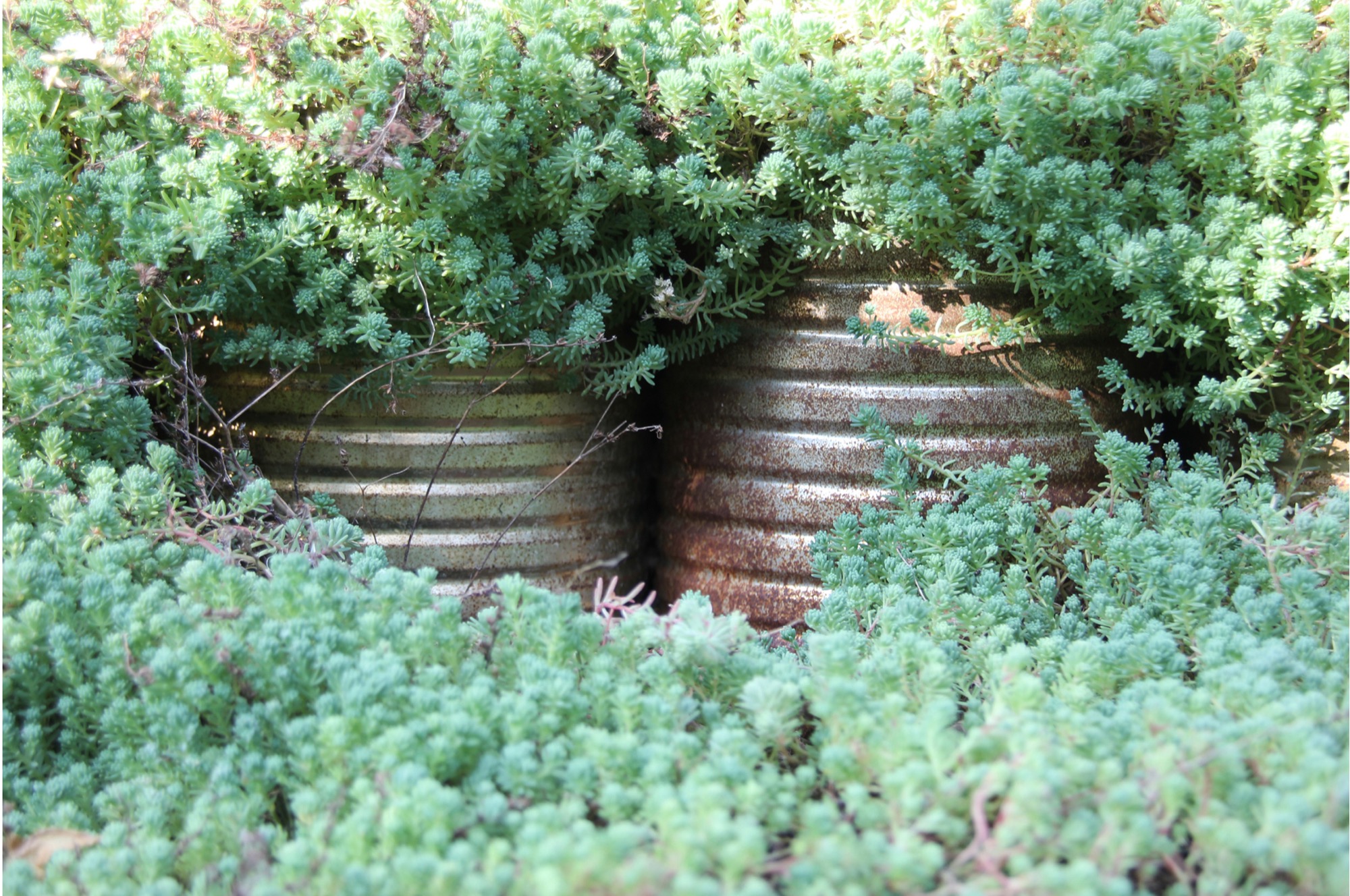 Le jardin mis en boîte — Chaumont-sur-Loire